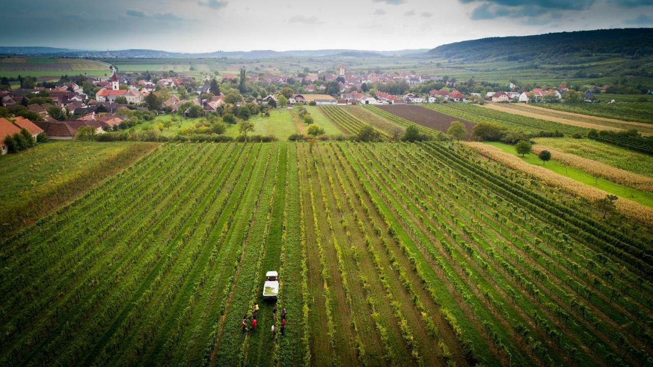 Готель Weingut Familie Krell Mitterretzbach Екстер'єр фото